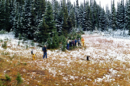 1861 GRPT Hike to Bald-Groundhog Lake (3) - 1995